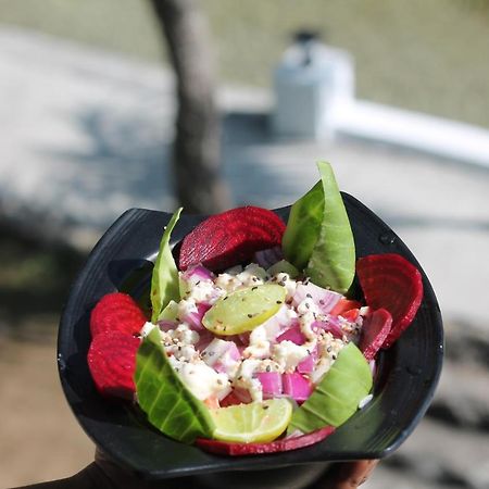 Shivanjal Wellness And Accommodation Rishikesh Exterior photo